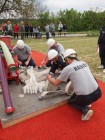 Hasičská soutěž v Hluboké 2026